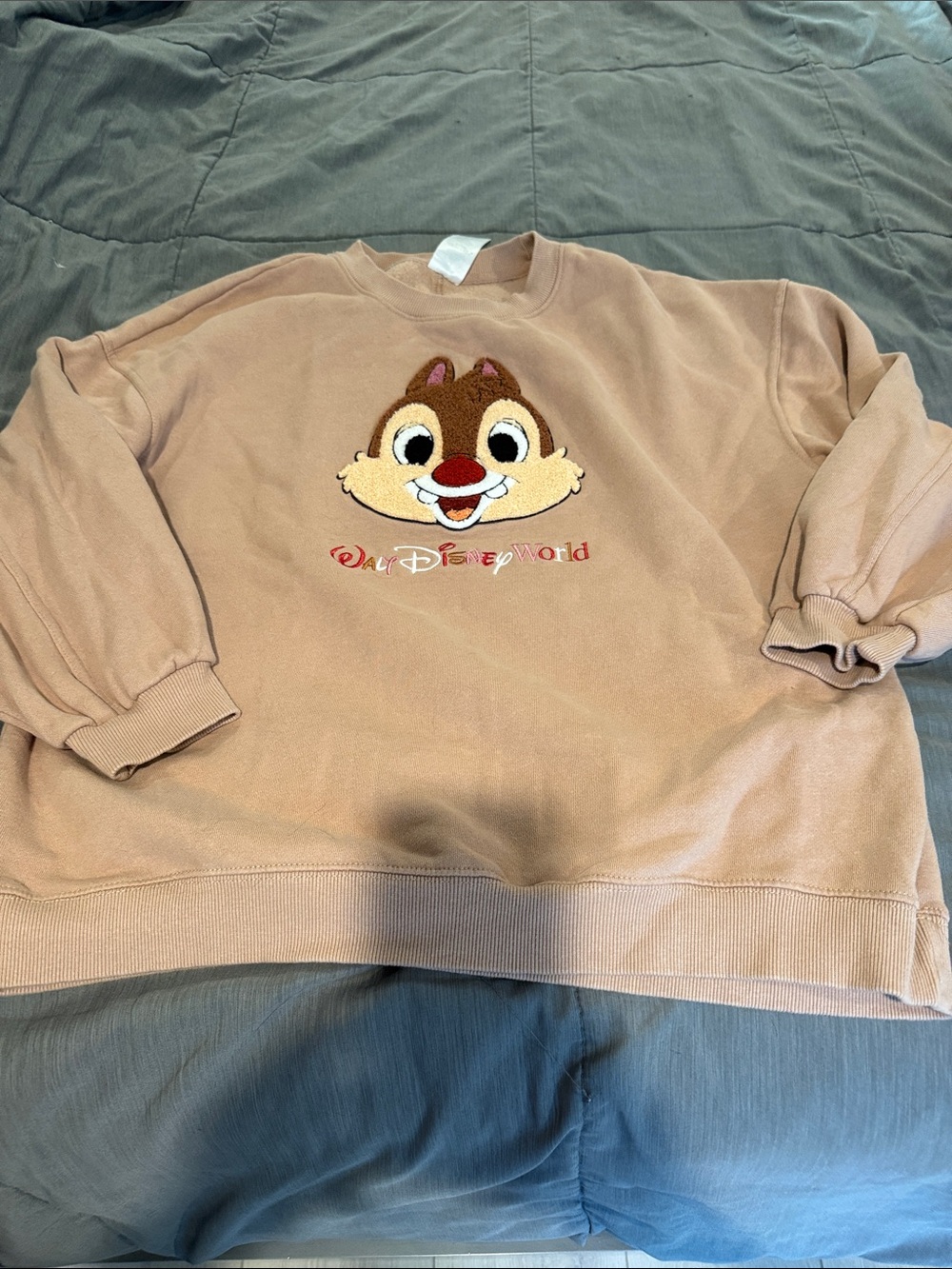 Disney Tan Dale Embroidered Crewneck Sweatshirt